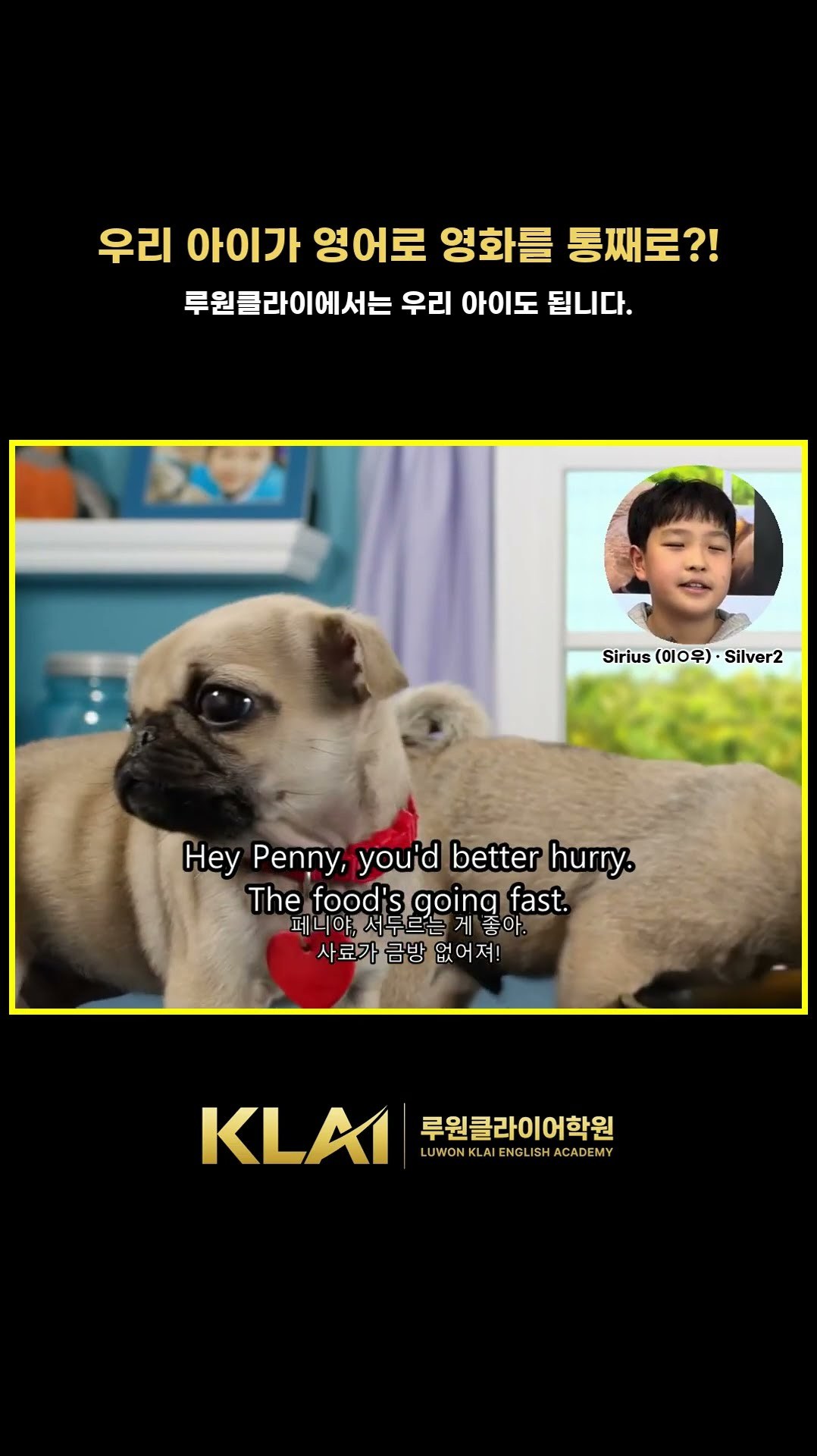 수료 1년